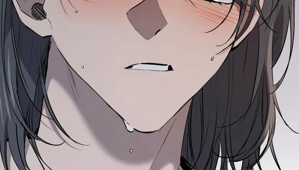 Đàn Thỏ Của Habibi 47 trang 231