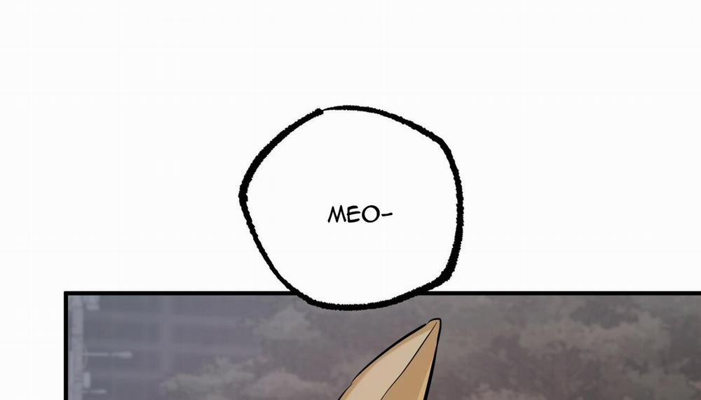 Đàn Thỏ Của Habibi 47 trang 272