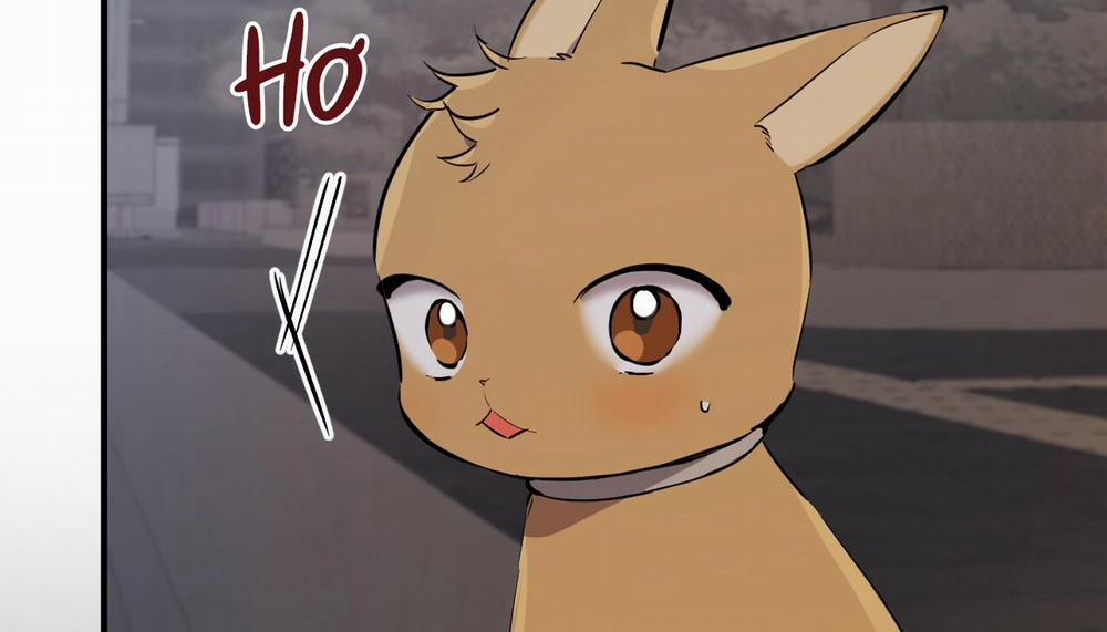 Đàn Thỏ Của Habibi 47 trang 273