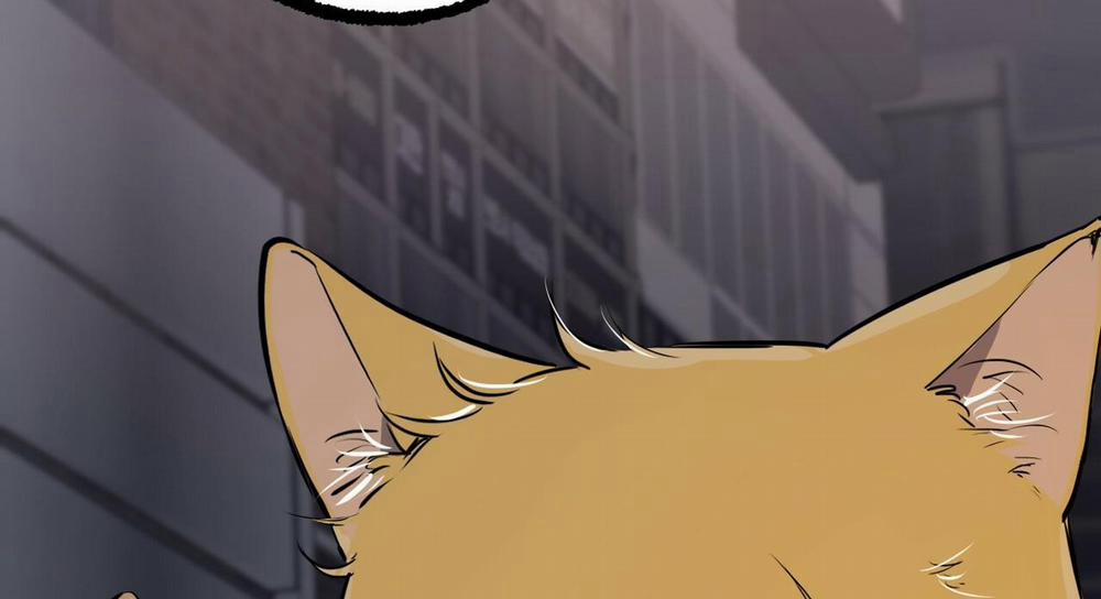 Đàn Thỏ Của Habibi 47 trang 276