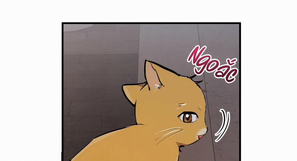 Đàn Thỏ Của Habibi 47 trang 281