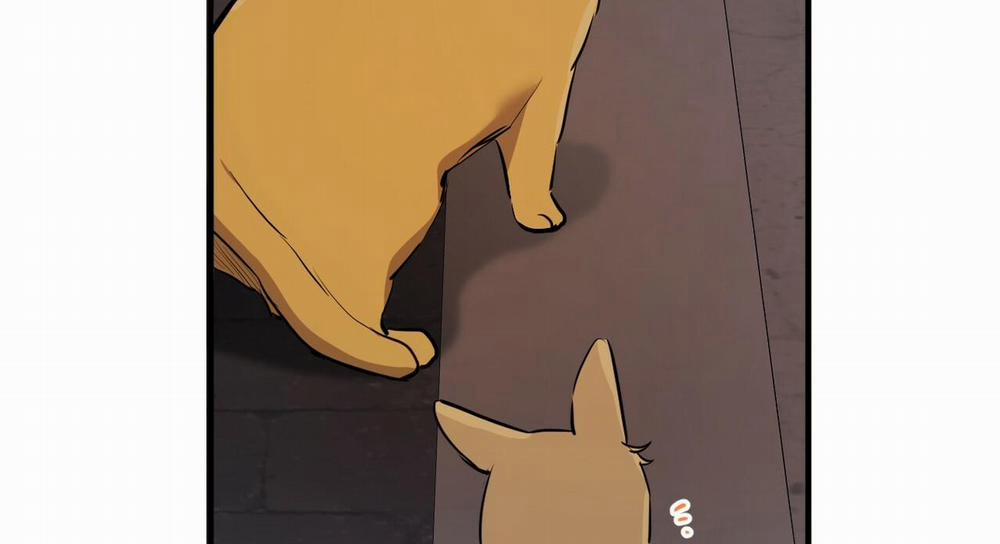 Đàn Thỏ Của Habibi 47 trang 282