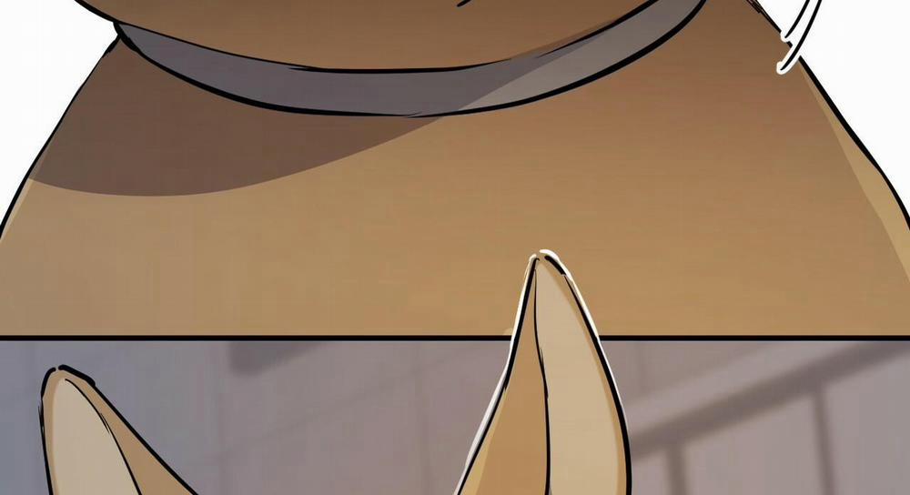 Đàn Thỏ Của Habibi 47 trang 290