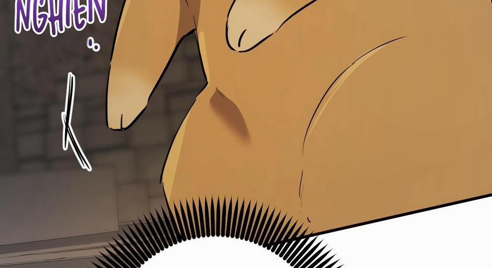 Đàn Thỏ Của Habibi 47 trang 293