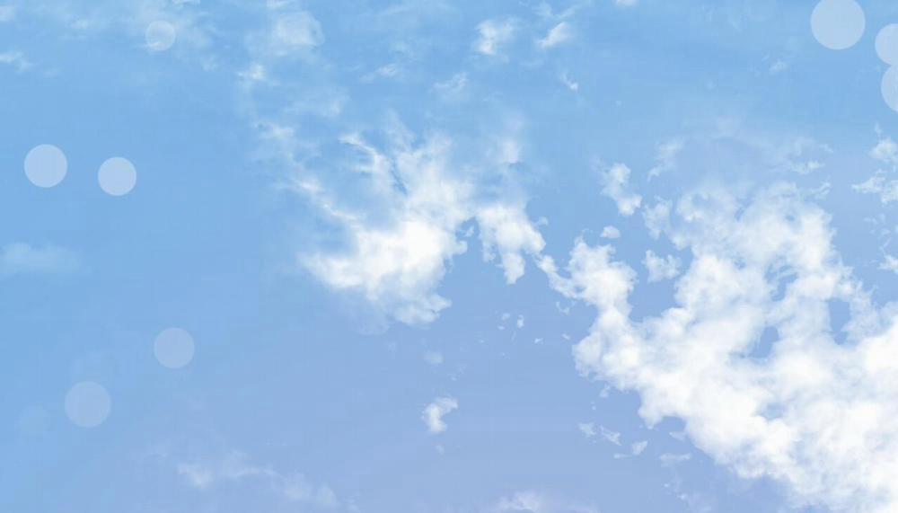 Đàn Thỏ Của Habibi 47 trang 307