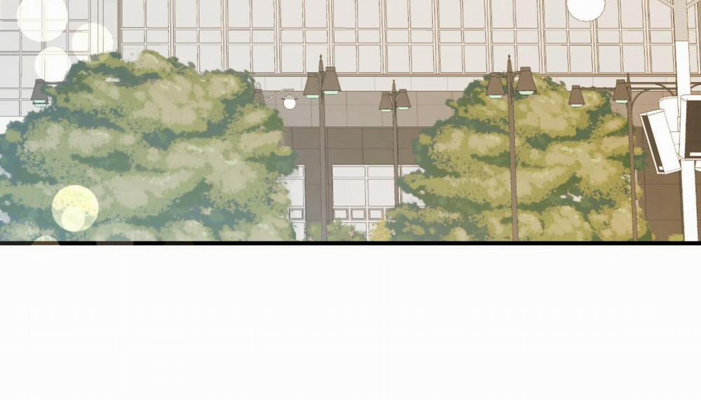 Đàn Thỏ Của Habibi 47 trang 309