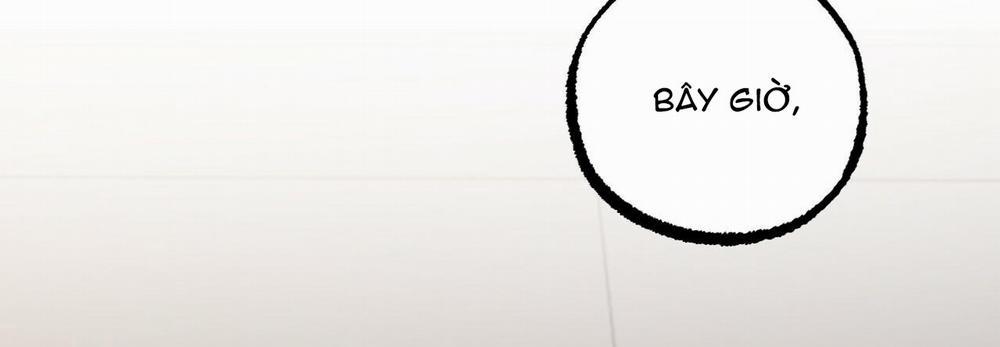 Đàn Thỏ Của Habibi 47 trang 322