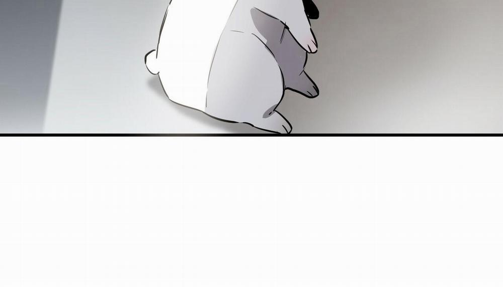 Đàn Thỏ Của Habibi 47 trang 61