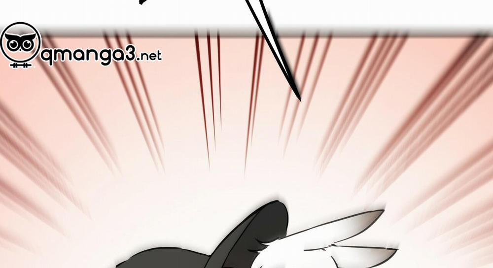 Đàn Thỏ Của Habibi 47 trang 72