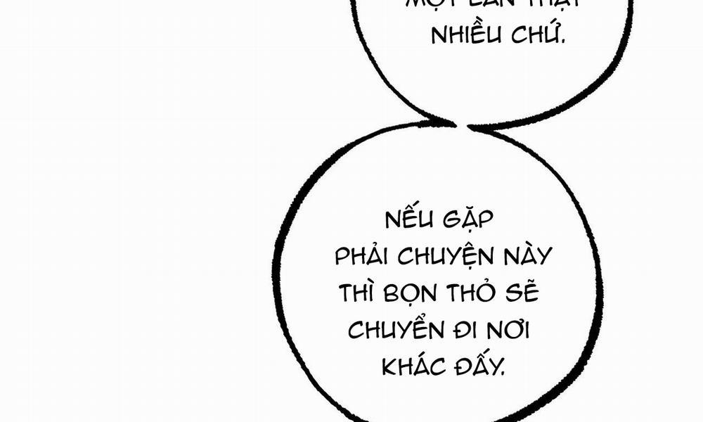 Đàn Thỏ Của Habibi 48 trang 10