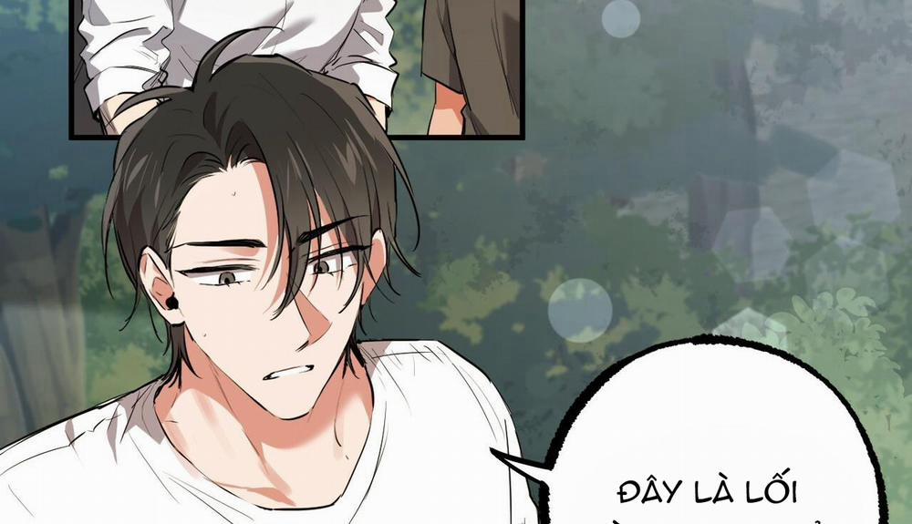 Đàn Thỏ Của Habibi 48 trang 141