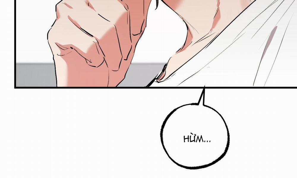 Đàn Thỏ Của Habibi 48 trang 18