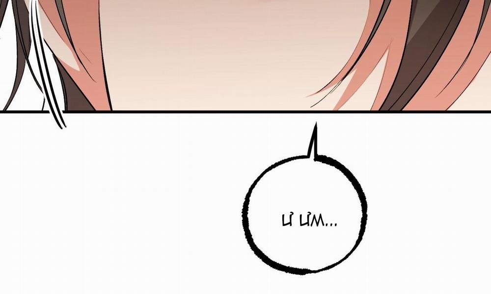 Đàn Thỏ Của Habibi 48 trang 2