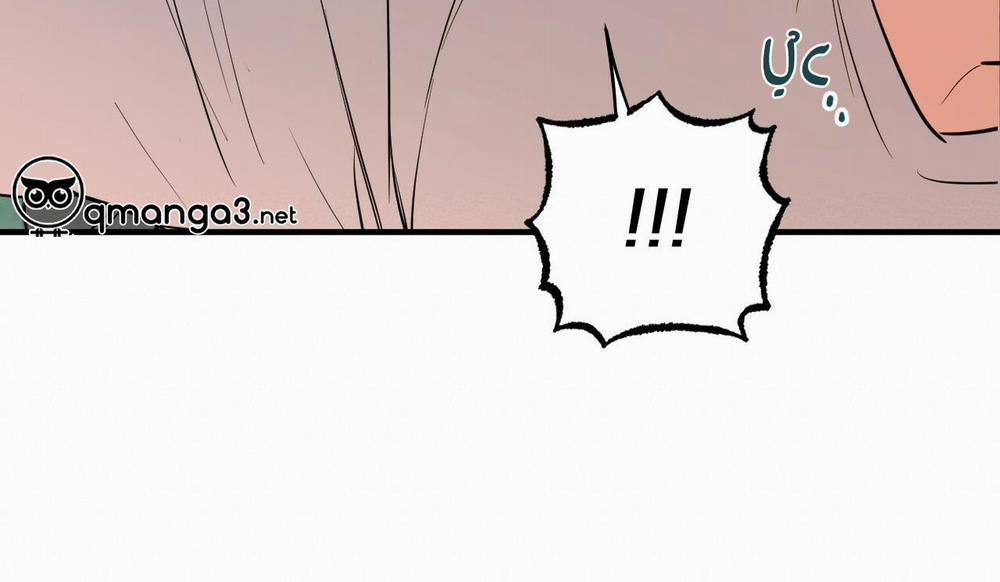 Đàn Thỏ Của Habibi 48 trang 221