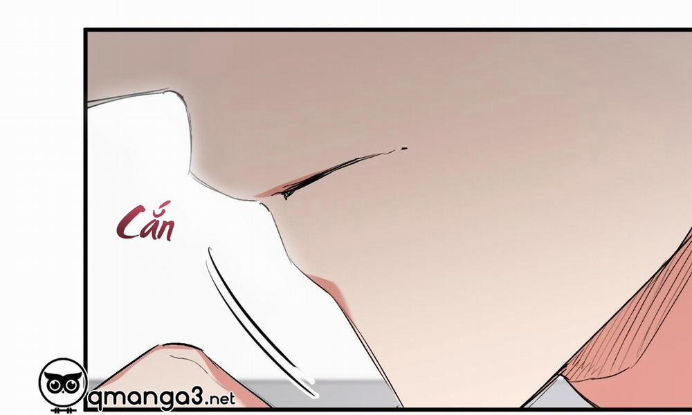 Đàn Thỏ Của Habibi 48 trang 24