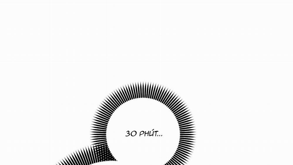 Đàn Thỏ Của Habibi 48 trang 246