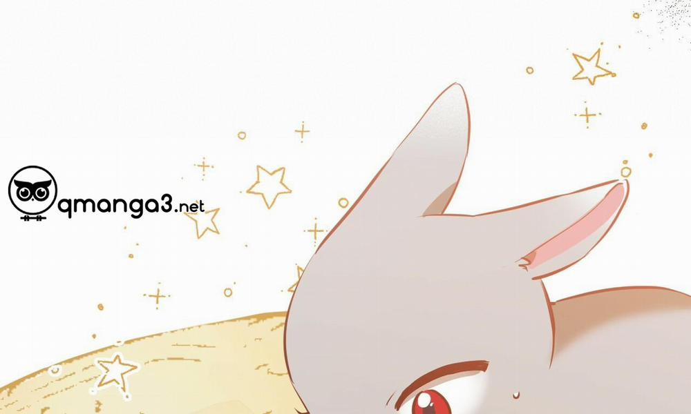 Đàn Thỏ Của Habibi 48 trang 254