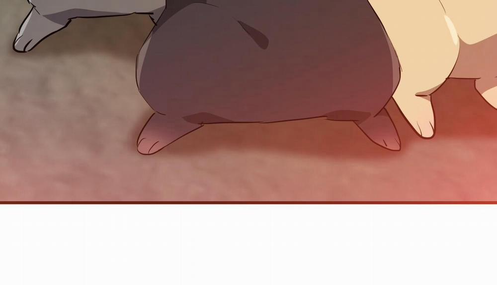 Đàn Thỏ Của Habibi 48 trang 278