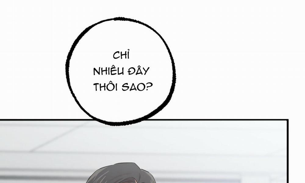 Đàn Thỏ Của Habibi 48 trang 4