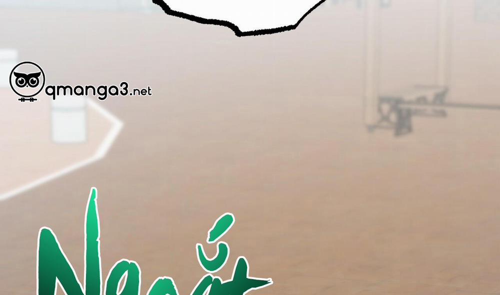 Đàn Thỏ Của Habibi 48 trang 53