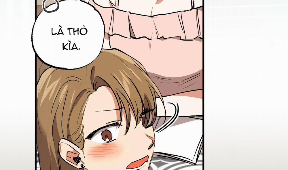 Đàn Thỏ Của Habibi 48 trang 66