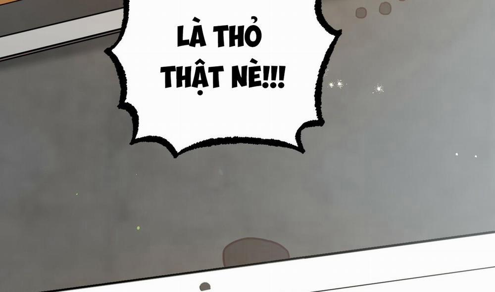 Đàn Thỏ Của Habibi 48 trang 73