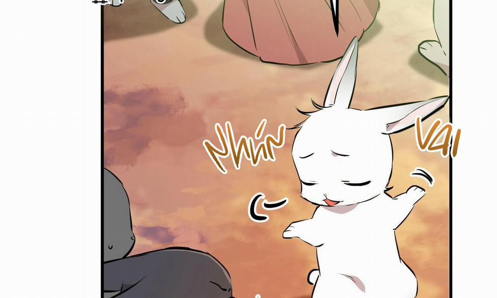 Đàn Thỏ Của Habibi 49 trang 13