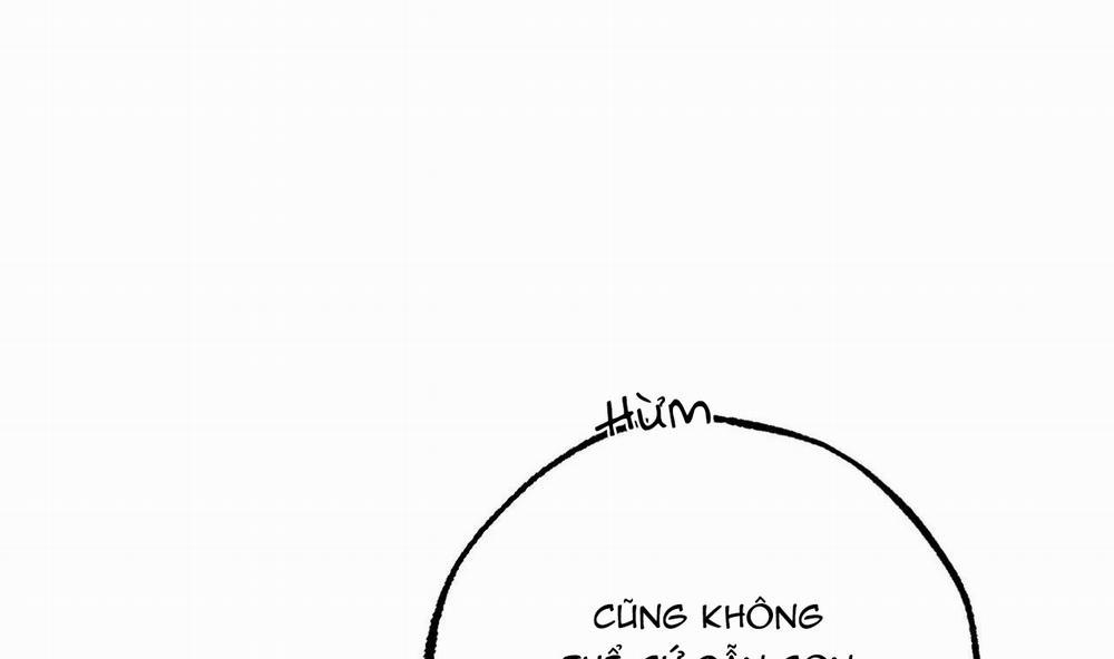 Đàn Thỏ Của Habibi 49 trang 141