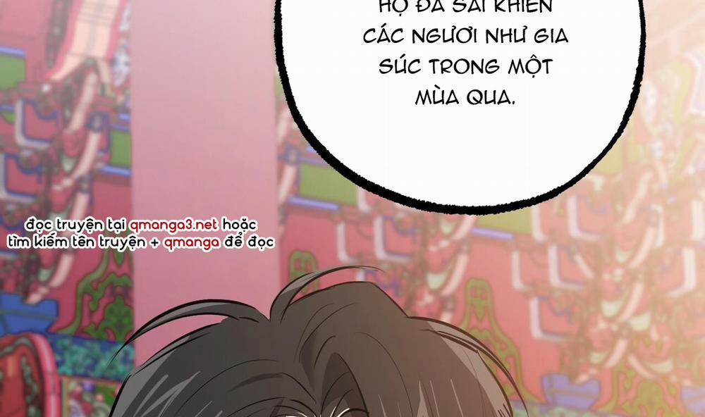 Đàn Thỏ Của Habibi 49 trang 147