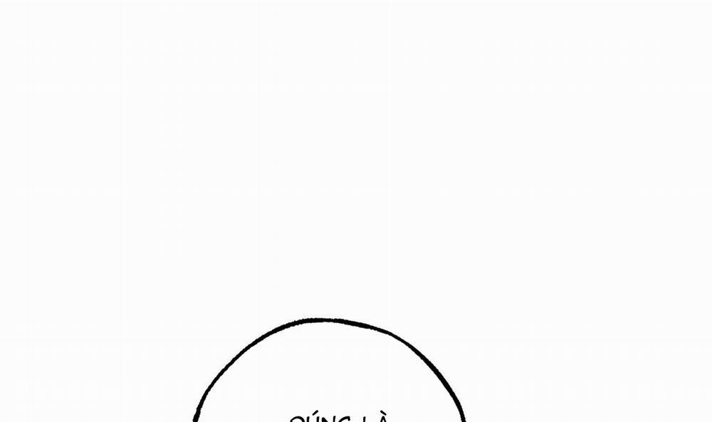 Đàn Thỏ Của Habibi 49 trang 161