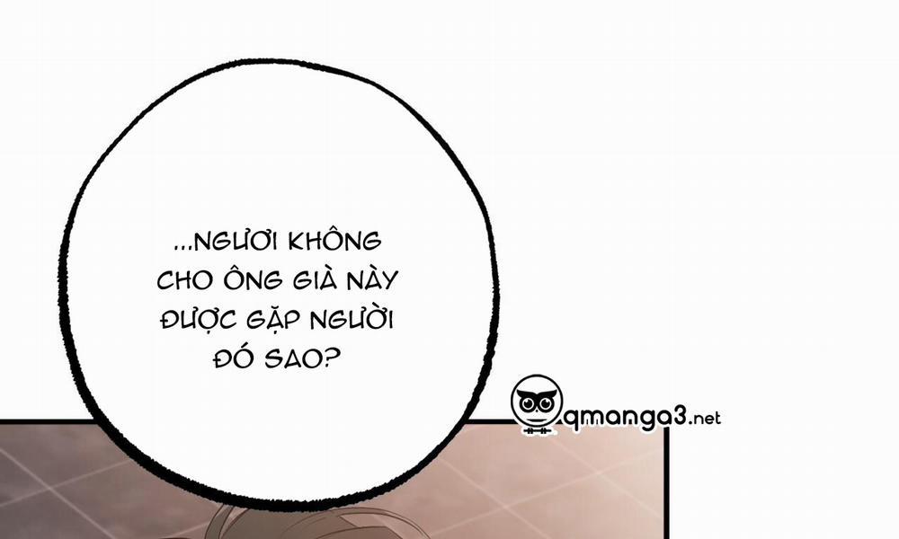 Đàn Thỏ Của Habibi 49 trang 183