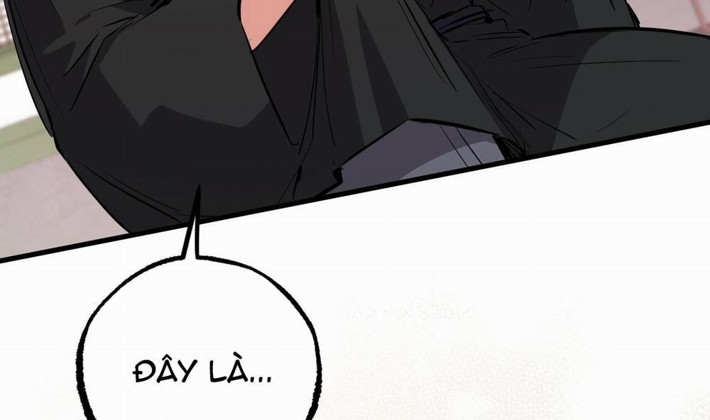 Đàn Thỏ Của Habibi 49 trang 202