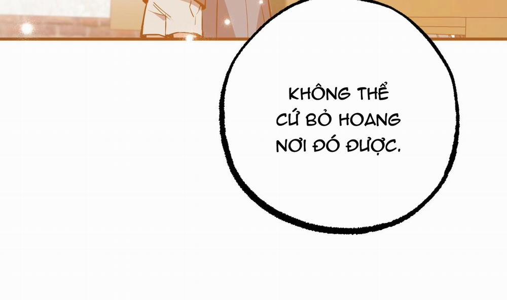 Đàn Thỏ Của Habibi 49 trang 210