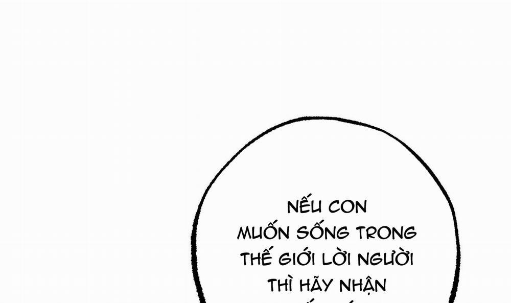 Đàn Thỏ Của Habibi 49 trang 211