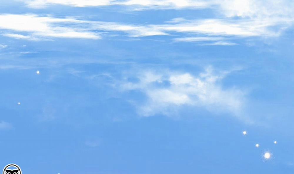 Đàn Thỏ Của Habibi 49 trang 221