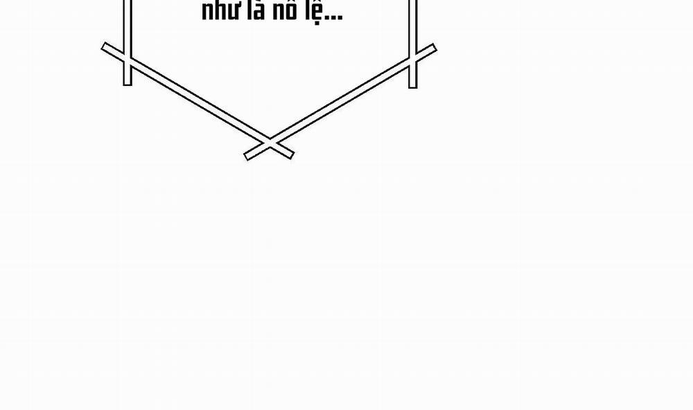 Đàn Thỏ Của Habibi 49 trang 239