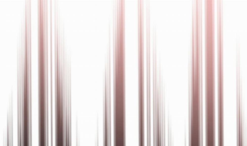 Đàn Thỏ Của Habibi 49 trang 250