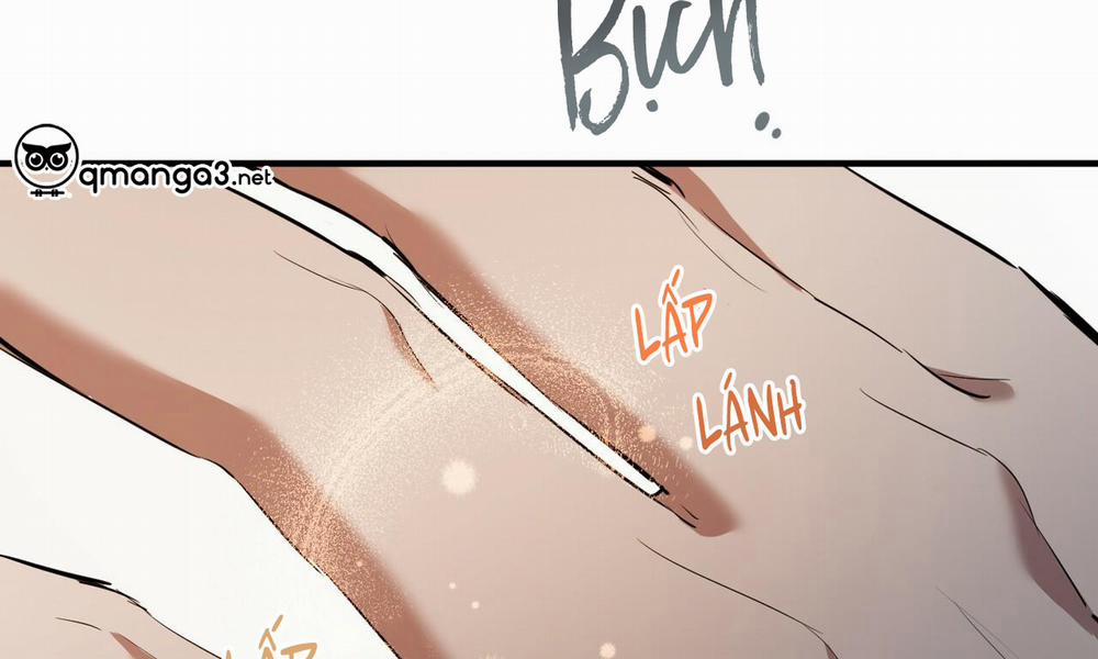 Đàn Thỏ Của Habibi 49 trang 263