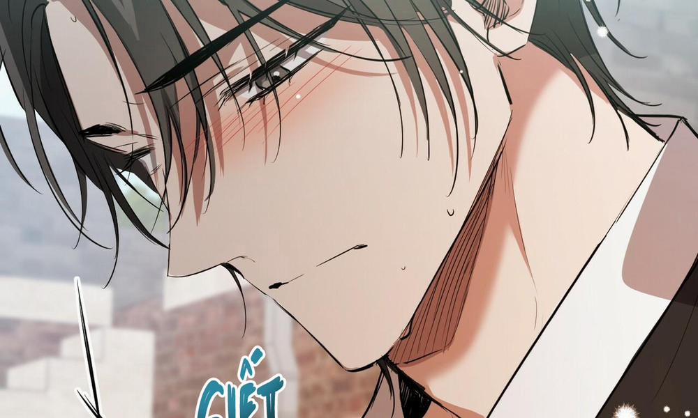 Đàn Thỏ Của Habibi 49 trang 270