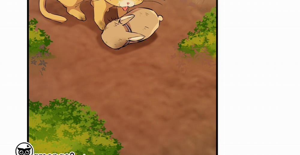 Đàn Thỏ Của Habibi 49 trang 280