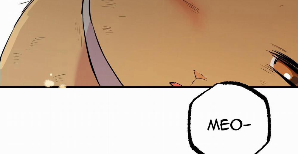 Đàn Thỏ Của Habibi 49 trang 284