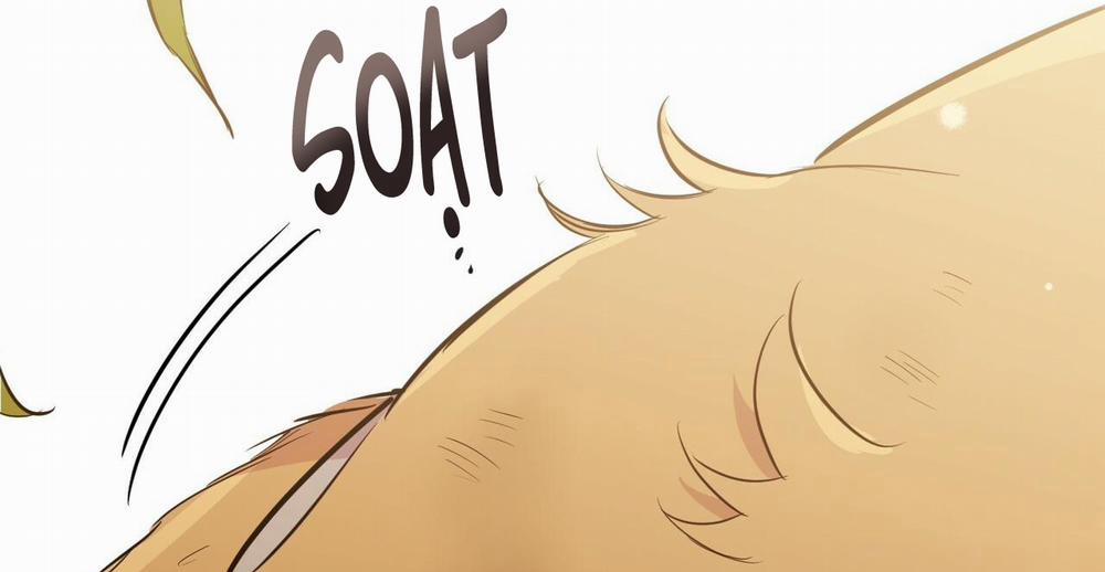 Đàn Thỏ Của Habibi 49 trang 290