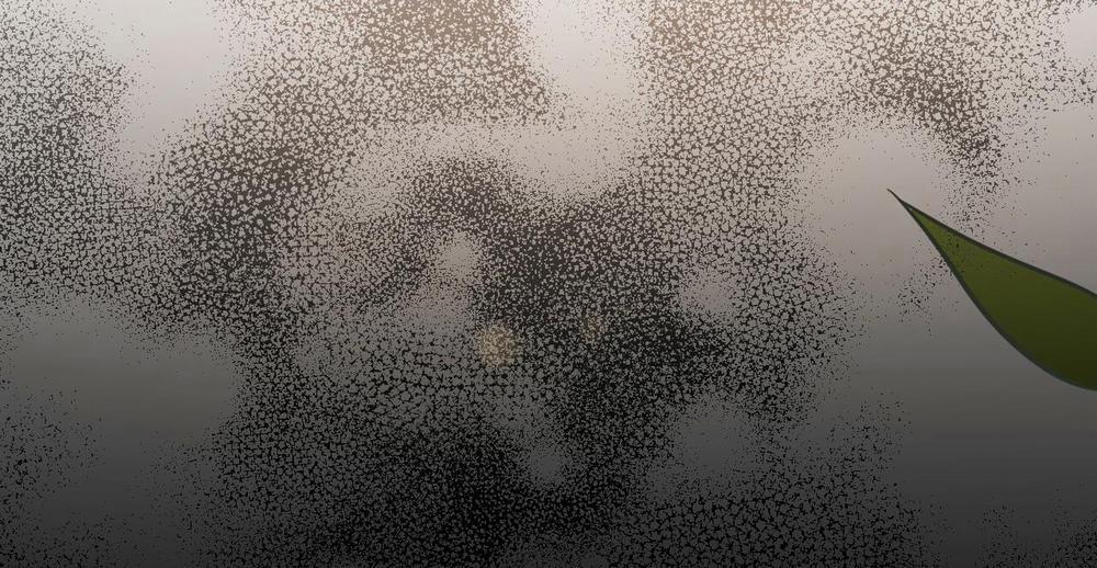 Đàn Thỏ Của Habibi 49 trang 297