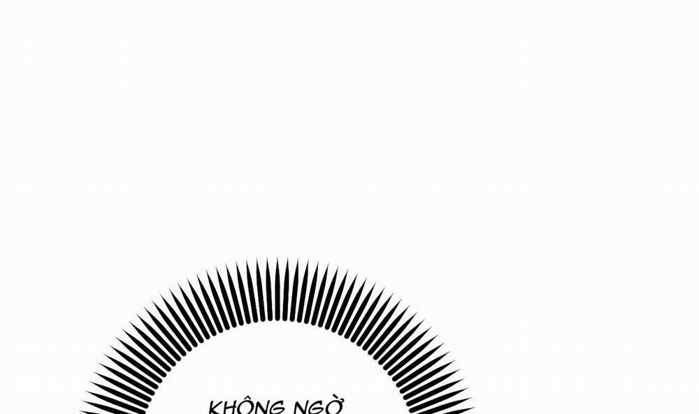 Đàn Thỏ Của Habibi 49 trang 36