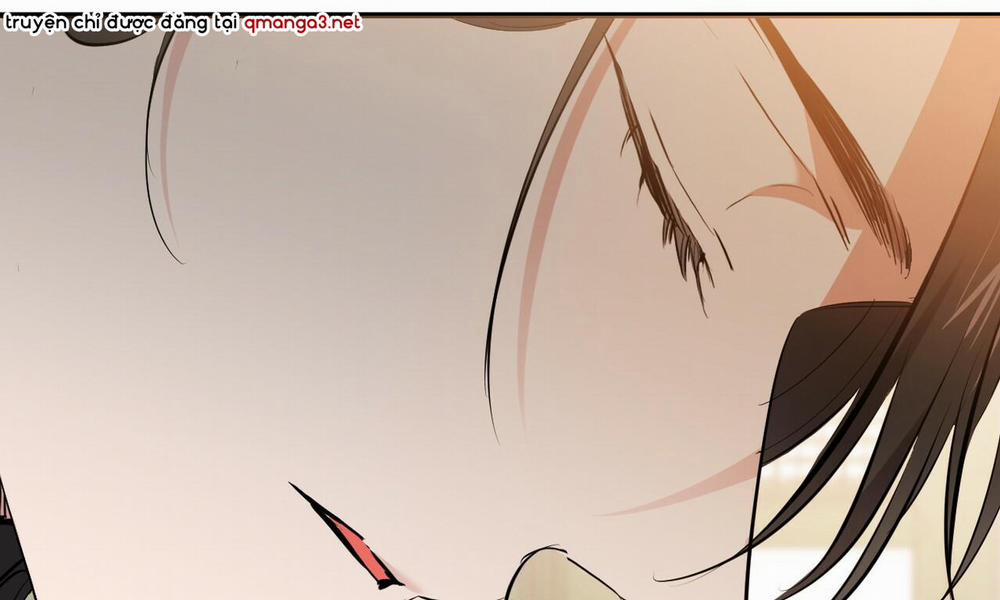 Đàn Thỏ Của Habibi 49 trang 97