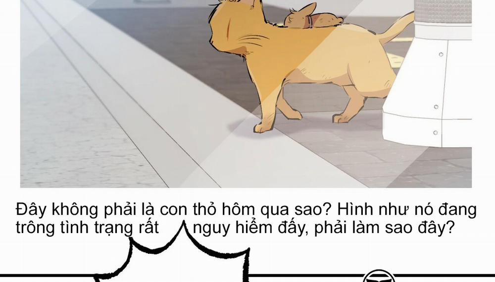 Đàn Thỏ Của Habibi 50 trang 104