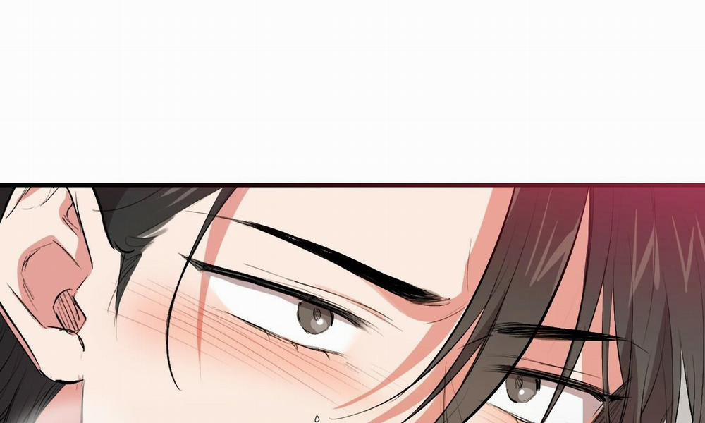 Đàn Thỏ Của Habibi 50 trang 11