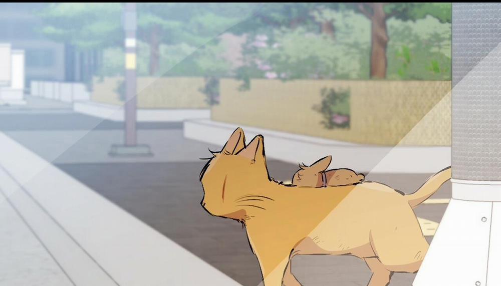 Đàn Thỏ Của Habibi 50 trang 115