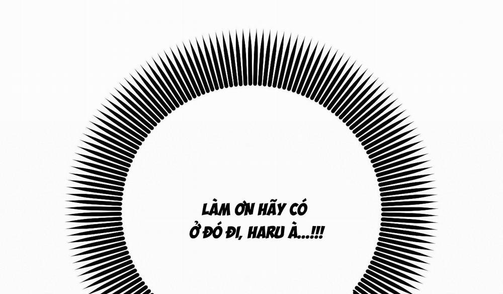 Đàn Thỏ Của Habibi 50 trang 166