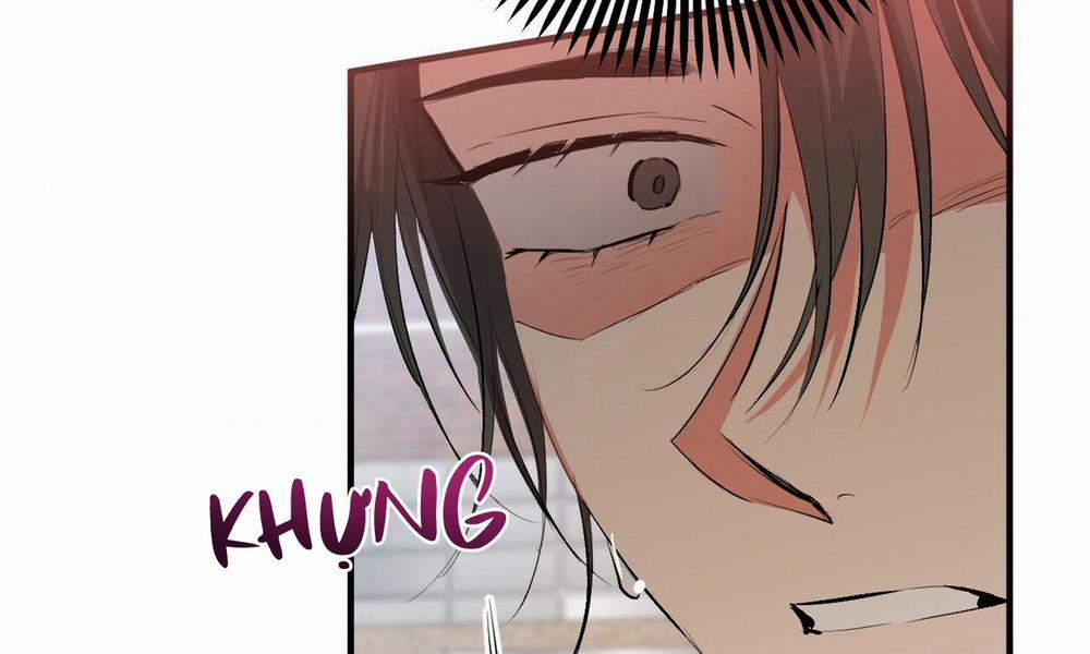 Đàn Thỏ Của Habibi 50 trang 185